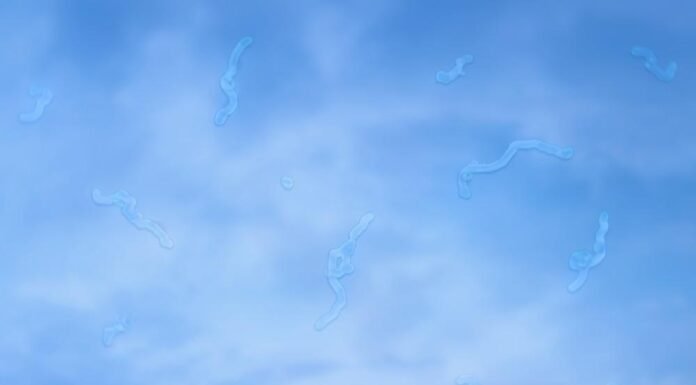 What Are Eye Floaters? Here What To Do If you Start Seeing Them, According to an Eye Doctor