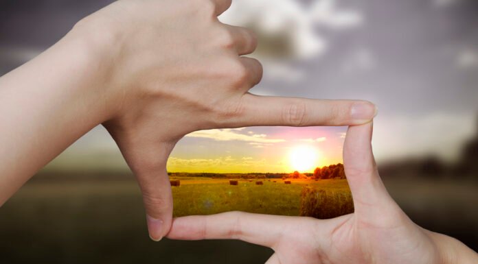 Eat this #1 seed for crystal clear vision—your eyes will thank you!