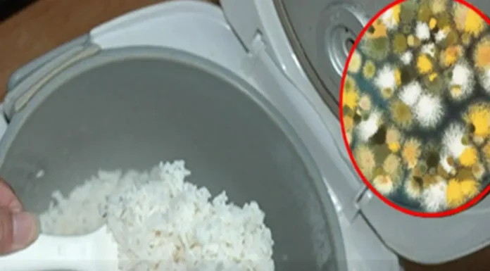 Everyone needs to pay attention when reheating cold rice