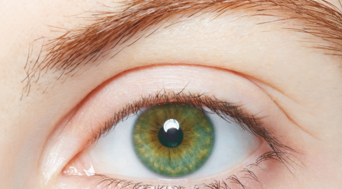 The Hidden Traits of Green Eyes!