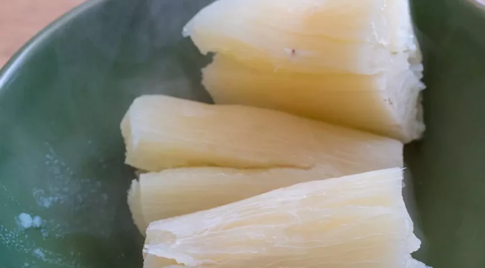 Despite Being the Worlds Deadliest Food, 500 Million Still Consume It, and It Claims Over 200 Lives Annually