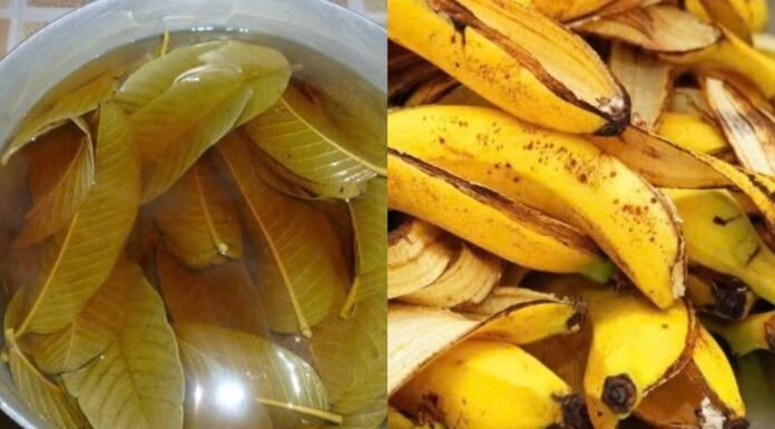 “This Golden Remedy Shocks Doctors: A Natural Drink That Balances Blood Sugar, Lowers Blood Pressure, and Boosts Circulation Instantly”