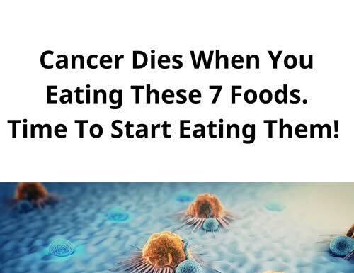 7 Anti-Cancer Foods That Kill Cancer The Moment You Start Eating Them