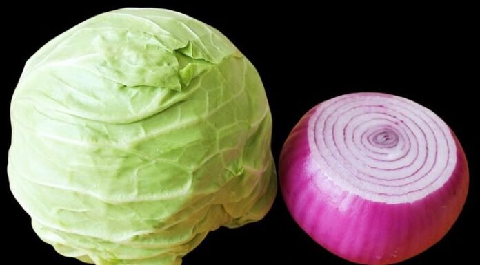 The Healing Power of Nature: The Cloves, Cabbage, and Onion Drink for Total Body Wellness