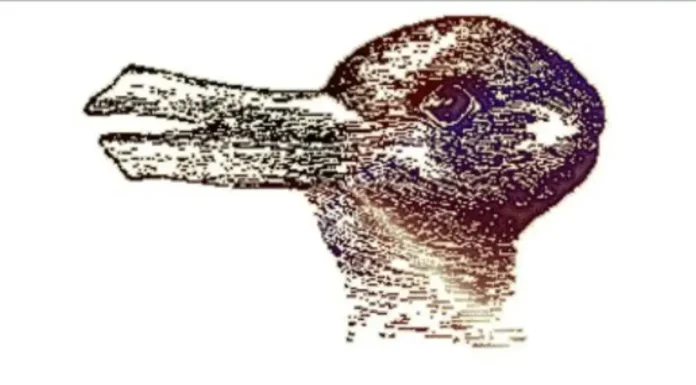 This Visual Test Uses Animals to Show How You Think