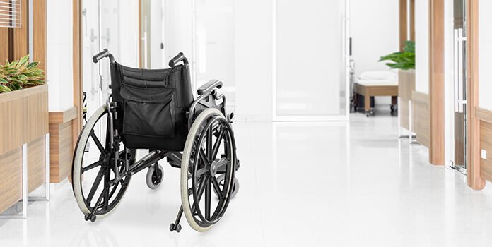 I Sent My Sick Mother to the Cheapest Nursing Home—After Her Death, Her Plant Broke Me