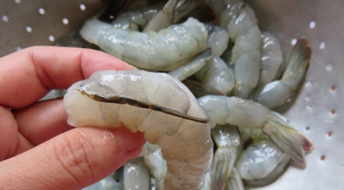 How To Prepare Shrimp and Why You Shouldn’t Eat That ‘Black Vein’