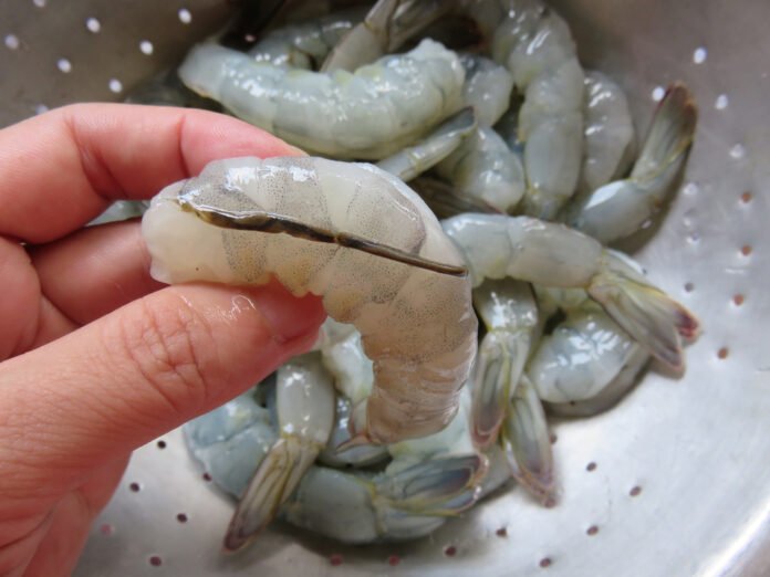 Using,The,Knife,To,Make,A,Slit,At,A,Backside