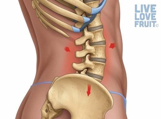 Category: Fitness5 Exercises to Correct an Anterior Pelvic Tilt to Get Rid of Hip & Lower Back Pain 5 Exercises to Correct an Anterior Pelvic Tilt to Get Rid of Hip & Lower Back Pain
