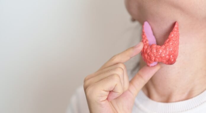 6 Simple, Science-Backed Ways to Naturally Support Your Thyroid Health (And Why It Could Change How You Feel Every Day)