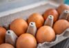 How Many Eggs Should You Eat Per Day, According to Research