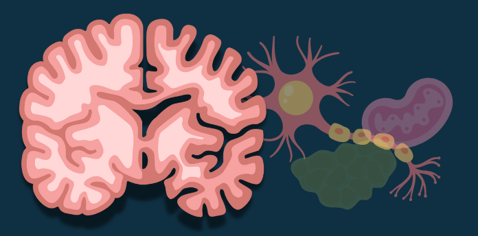 An early sign of Alzheimer’s disease can be noticed while taking a shower: what should you look out for?