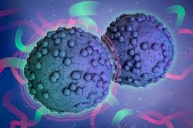 Husbands With These 2 Bad Habits May Put Their Wives at Higher Risk of Breast Cancer – Stop Them Now Before They Harm The Whole Family