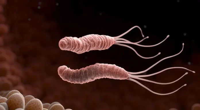 How to Kill The Bacteria Causing Heartburn And Bloating