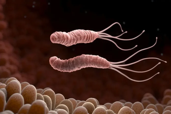 helicobacter-pylori-kann-bei-kindern-auch-positive-immunregulatorische-effekte-haben-1200x800