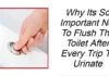 Why Its So Important Not To Flush The Toilet After Every Trip