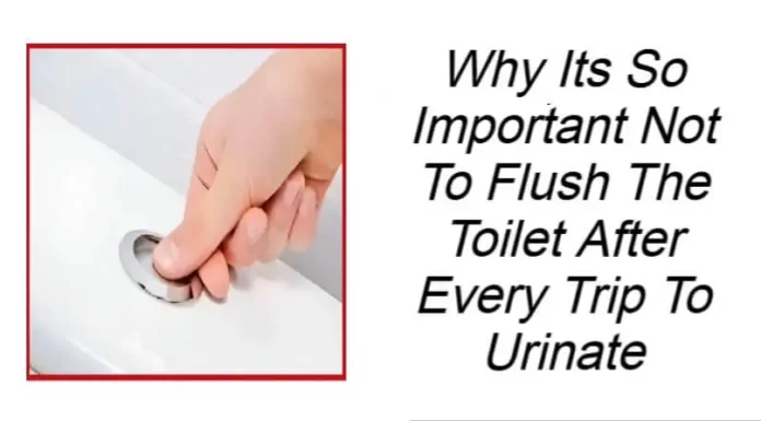 Why Its So Important Not To Flush The Toilet After Every Trip