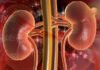 Your Body Speaks at Night: 5 Warning Signs of Kidney Issues
