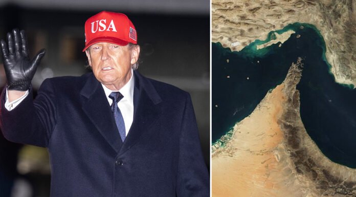 Trump’s 2-word warning to allies if they refuse to help open the Strait of Hormuz
