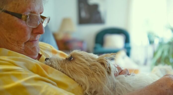 Why Your Pet “Steals” Your Spot