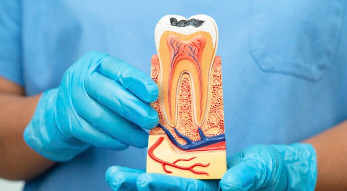 Goodbye Fillings? Teeth Have Been Successfully Grown in a Lab