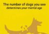 The number of dogs you see determines your mental age