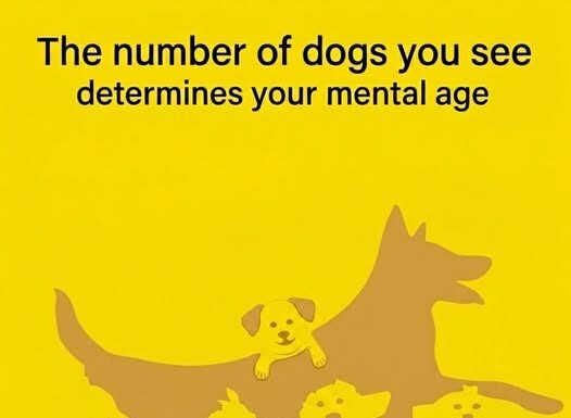 The number of dogs you see determines your mental age