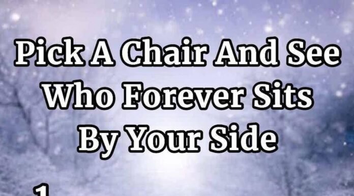 Pick a Chair and See Who Forever Sits by Your Side: A Reflective Exploration of Choice, Companionship, Loyalty, Life Paths, Silent Promises, Emotional Presence, Enduring Bonds, and the People Who Remain Through Time, Change, Distance, Challenges, Joy, Stillness, and the Unspoken Moments That Define Forever