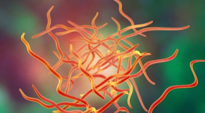 Pinworms in Children: What They Are and Why They Cause Nighttime Itching