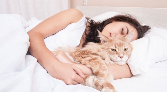 That detail isn’t innocent… and few people know it