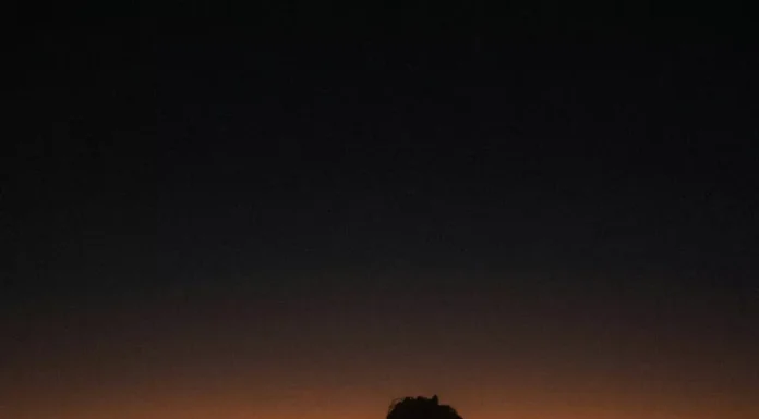 10 Signs That You May Have A Narcissistic Mother