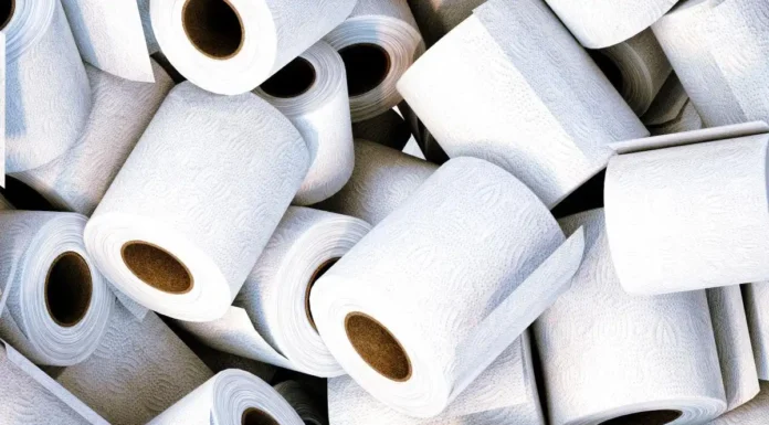 Hidden PFAS in toilet paper linked to cancer risk: 6 types to be aware of