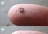 Does anyone know what this is?