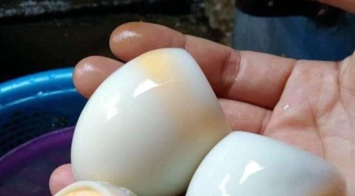 What Happens If You Accidentally Eat a Spoiled Egg?