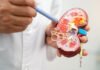 11 of the Worst Habits that Damage the Kidneys
