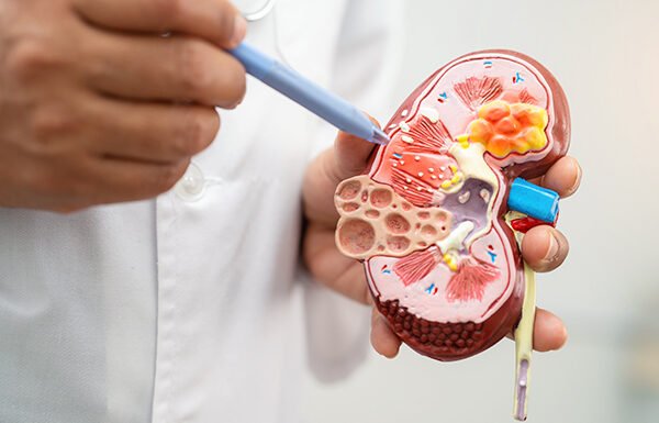 11 of the Worst Habits that Damage the Kidneys