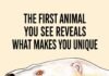 The First Animal You See Reveals What Makes You Unique