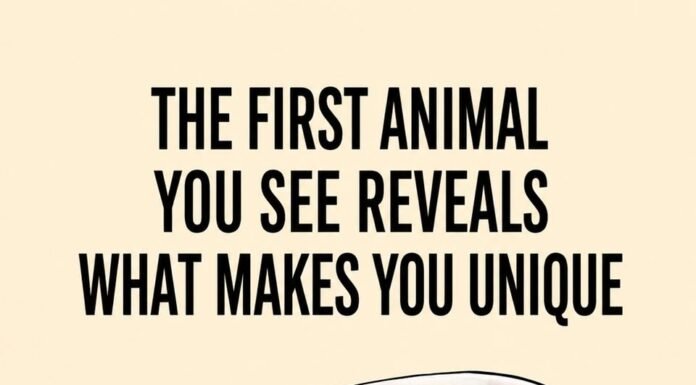 The First Animal You See Reveals What Makes You Unique