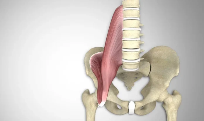 psoas-muscle-contact